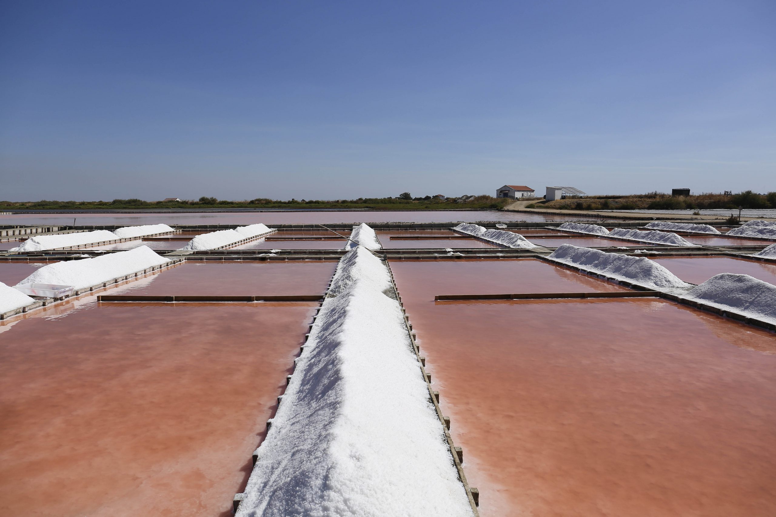 Salinas do Samouco