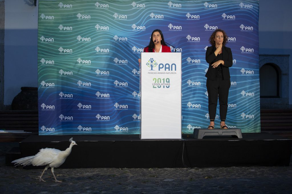 leições Legislativas 2019 PAN Partido Pessoas, Animais, Natureza (PAN) fotografia profissional lisboa news photojournalism fotojornalismo